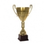 Trofea sportow i inne